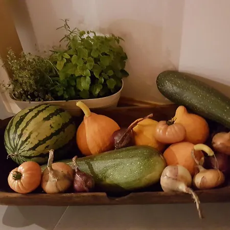 Frühstückspension Wypoczynek Pod Lipami