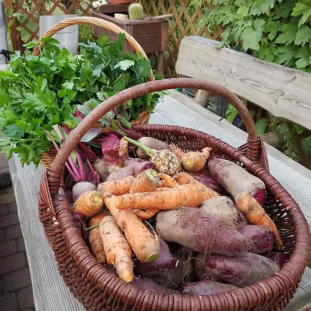 Wypoczynek Pod Lipami 3*