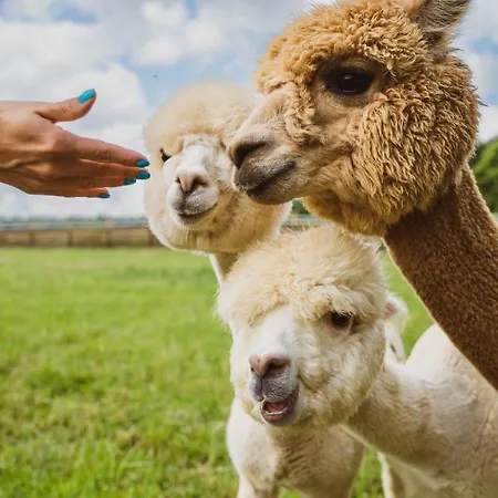 Wypoczynek Pod Lipami Ruciane-Nida