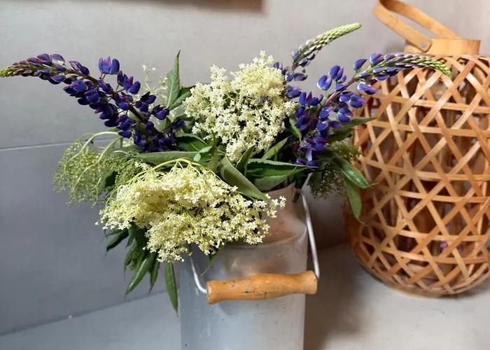 Bed and breakfast Wypoczynek Pod Lipami 3*